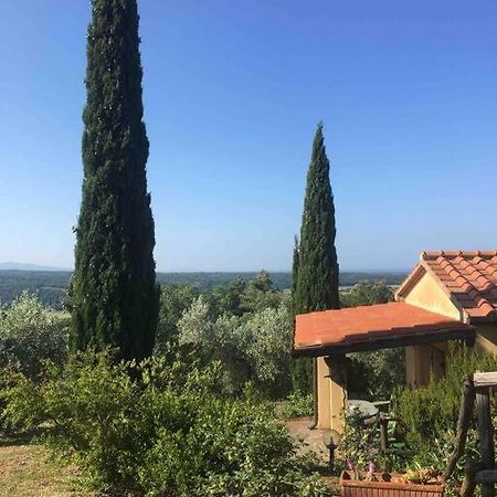 Casa Belvedere -Tranquillita Tra Bosco E Ulivi- Riparbella Esterno foto