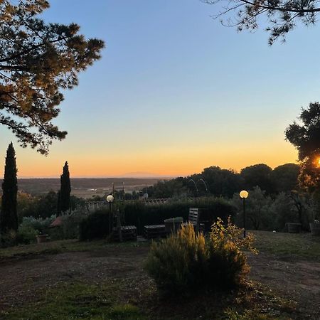 Casa Belvedere -Tranquillita Tra Bosco E Ulivi- Riparbella Esterno foto