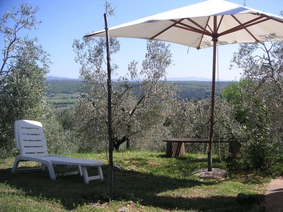 Casa Belvedere -Tranquillita Tra Bosco E Ulivi- Riparbella Esterno foto