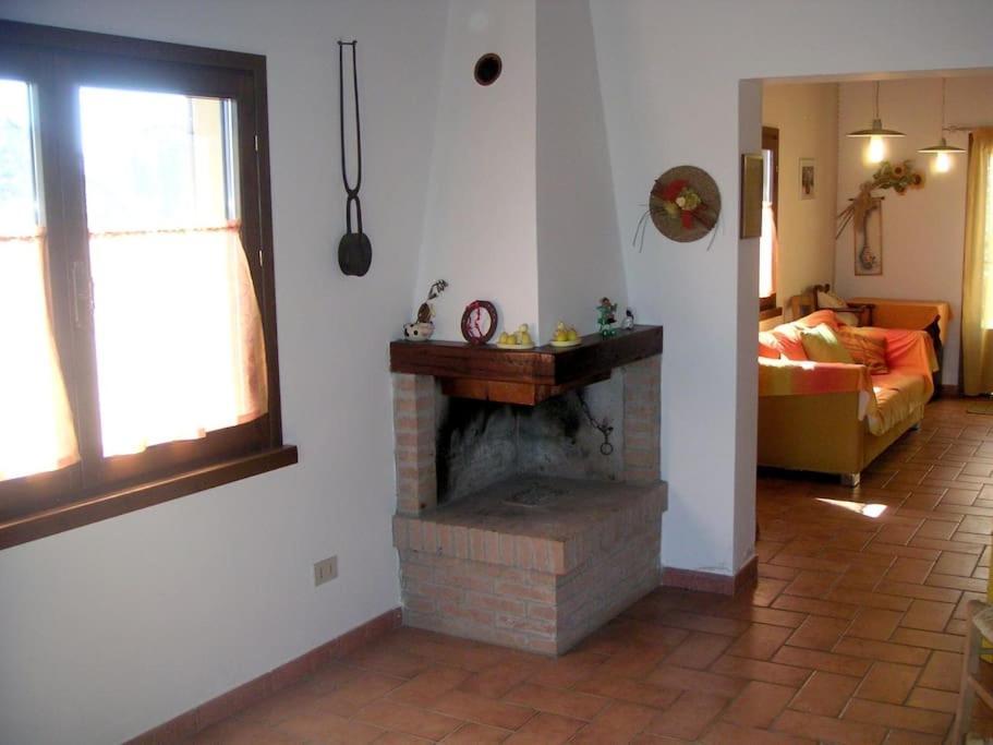 Casa Belvedere -Tranquillita Tra Bosco E Ulivi- Riparbella Esterno foto