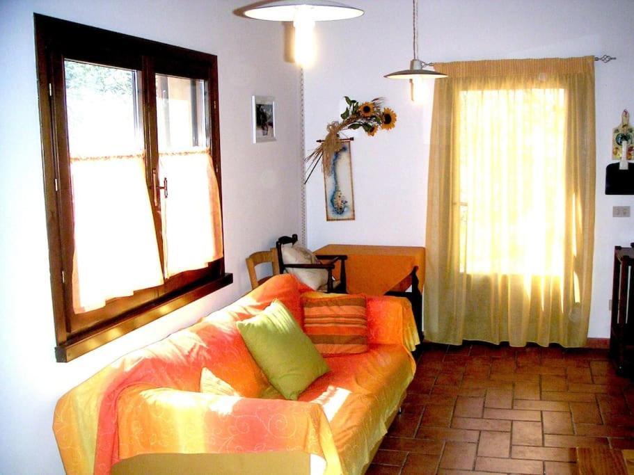 Casa Belvedere -Tranquillita Tra Bosco E Ulivi- Riparbella Esterno foto