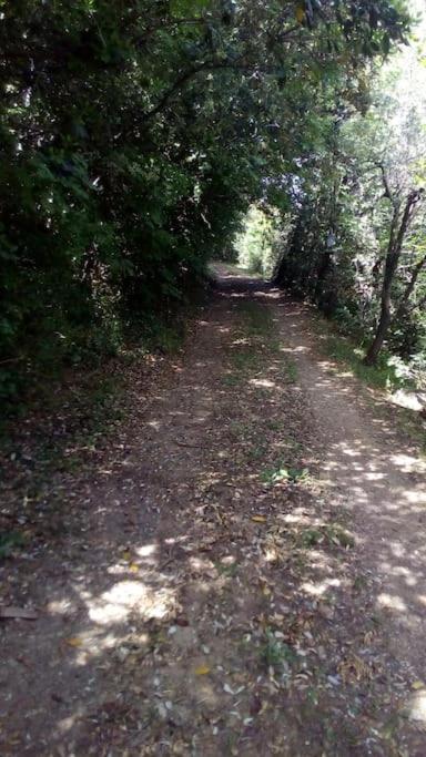 Casa Belvedere -Tranquillita Tra Bosco E Ulivi- Riparbella Esterno foto