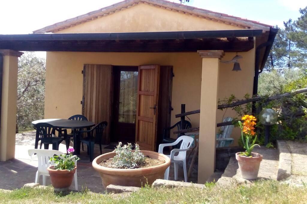 Casa Belvedere -Tranquillita Tra Bosco E Ulivi- Riparbella Esterno foto