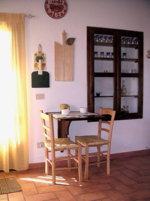 Casa Belvedere -Tranquillita Tra Bosco E Ulivi- Riparbella Esterno foto