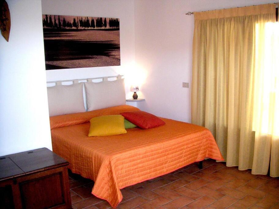 Casa Belvedere -Tranquillita Tra Bosco E Ulivi- Riparbella Esterno foto