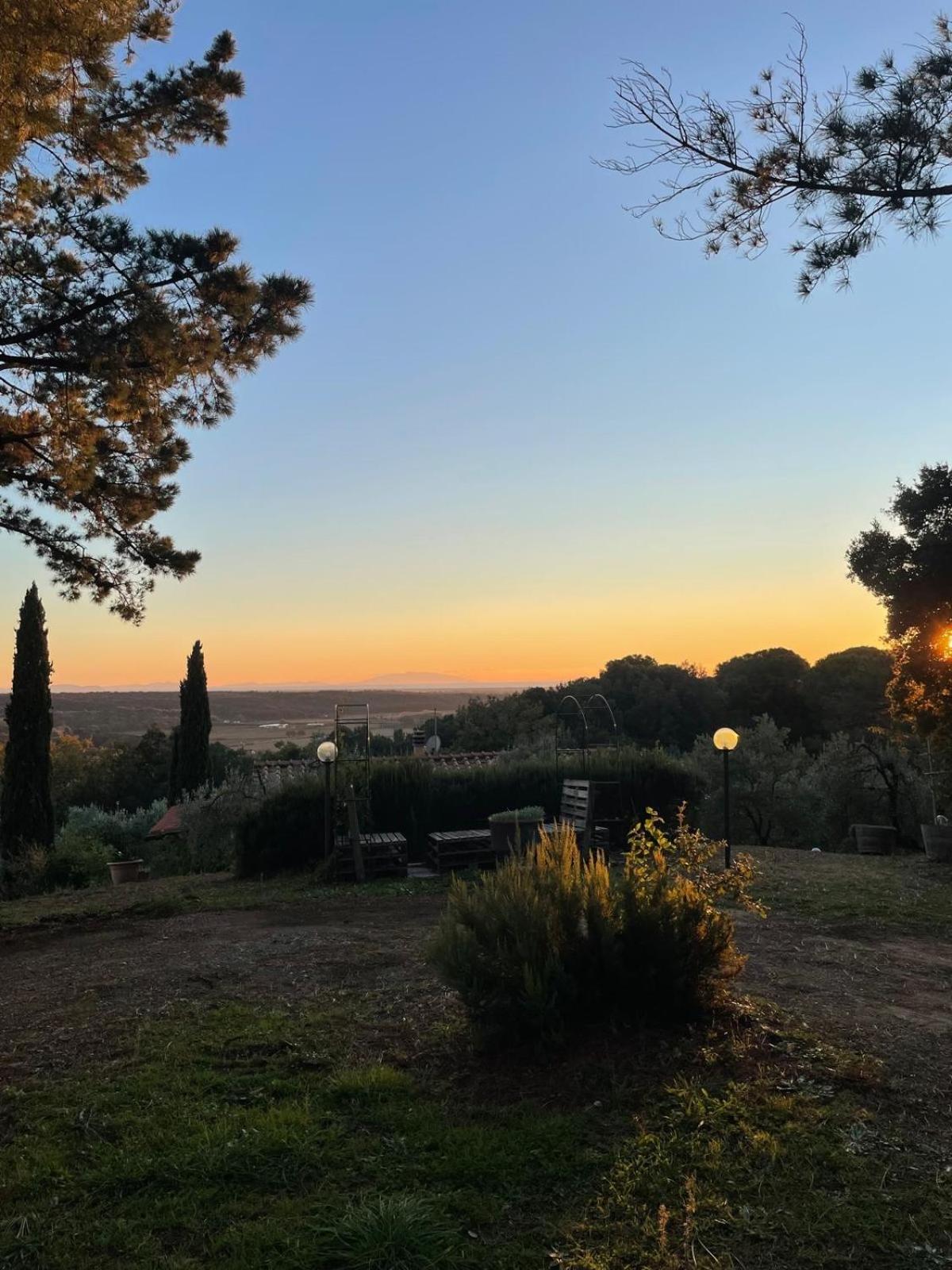 Casa Belvedere -Tranquillita Tra Bosco E Ulivi- Riparbella Esterno foto